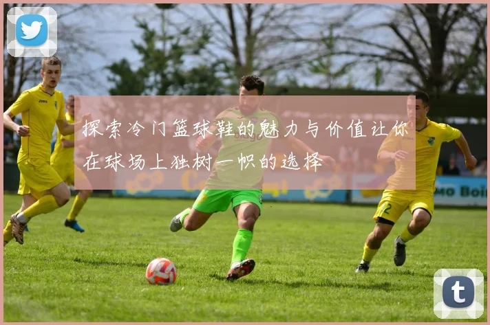 探索冷门篮球鞋的魅力与价值让你在球场上独树一帜的选择