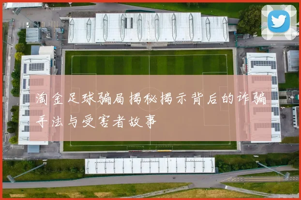 淘金足球骗局揭秘揭示背后的诈骗手法与受害者故事