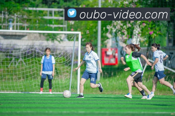 多媒体互动体验